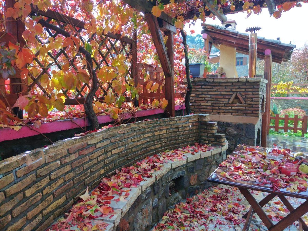 Archontiko Nikolopoulou Otel Vytina Dış mekan fotoğraf