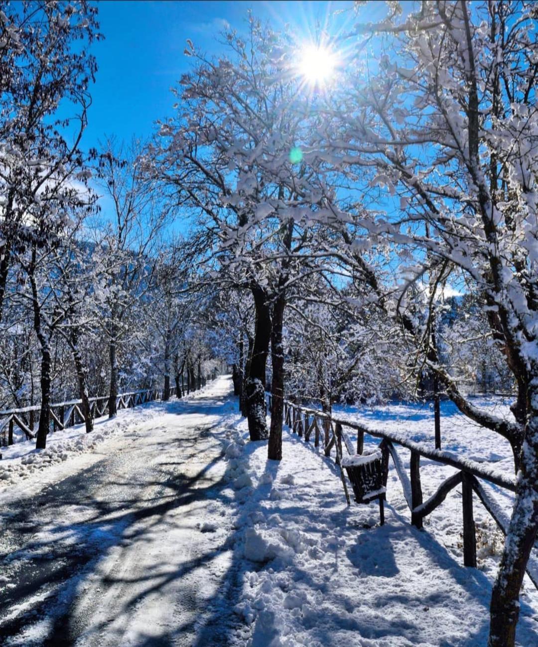 Archontiko Nikolopoulou Otel Vytina Dış mekan fotoğraf