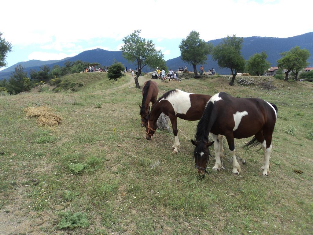 Archontiko Nikolopoulou Otel Vytina Dış mekan fotoğraf