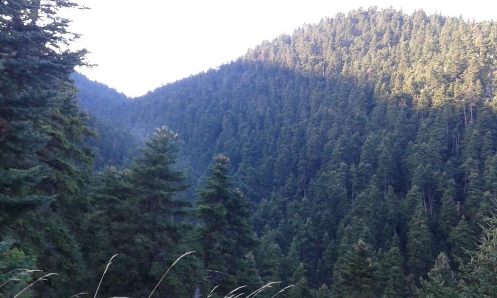 Archontiko Nikolopoulou Otel Vytina Dış mekan fotoğraf