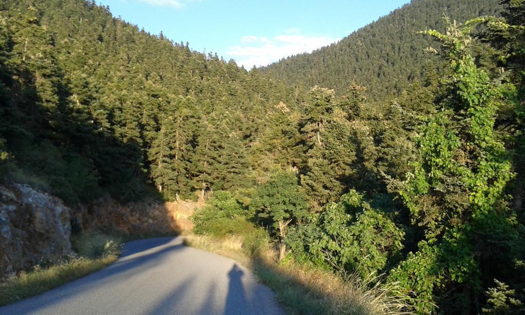 Archontiko Nikolopoulou Otel Vytina Dış mekan fotoğraf