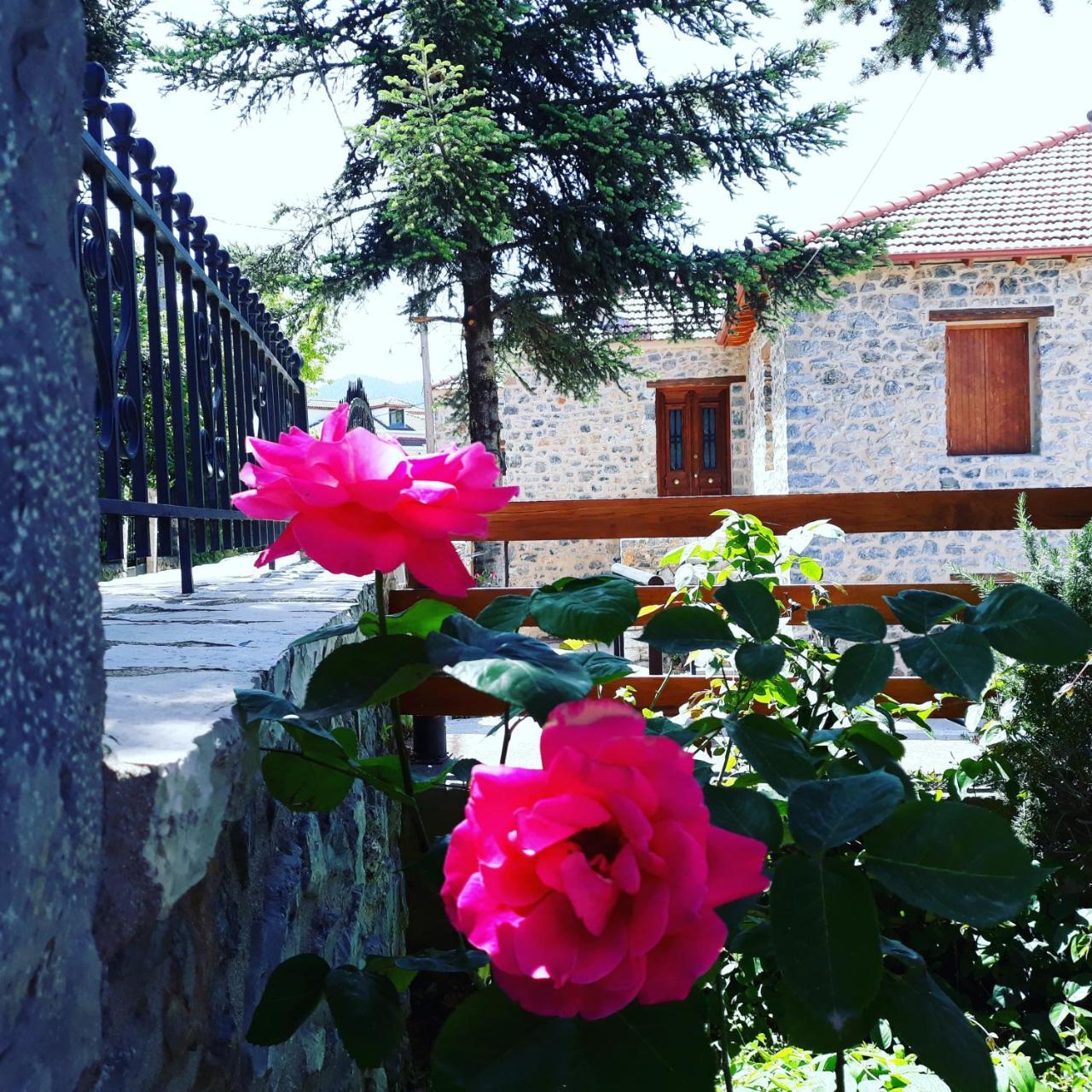 Archontiko Nikolopoulou Otel Vytina Dış mekan fotoğraf
