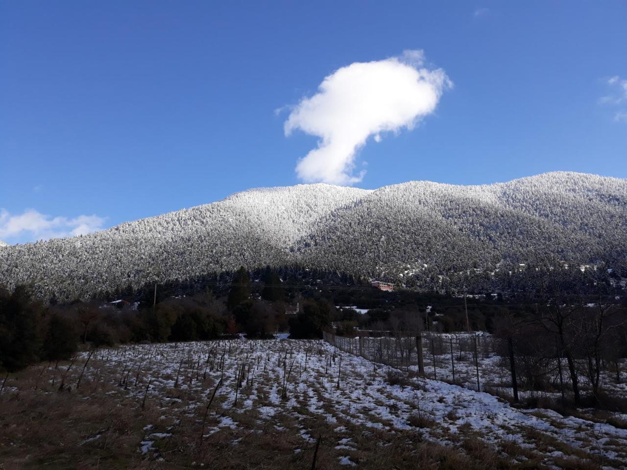 Archontiko Nikolopoulou Otel Vytina Dış mekan fotoğraf